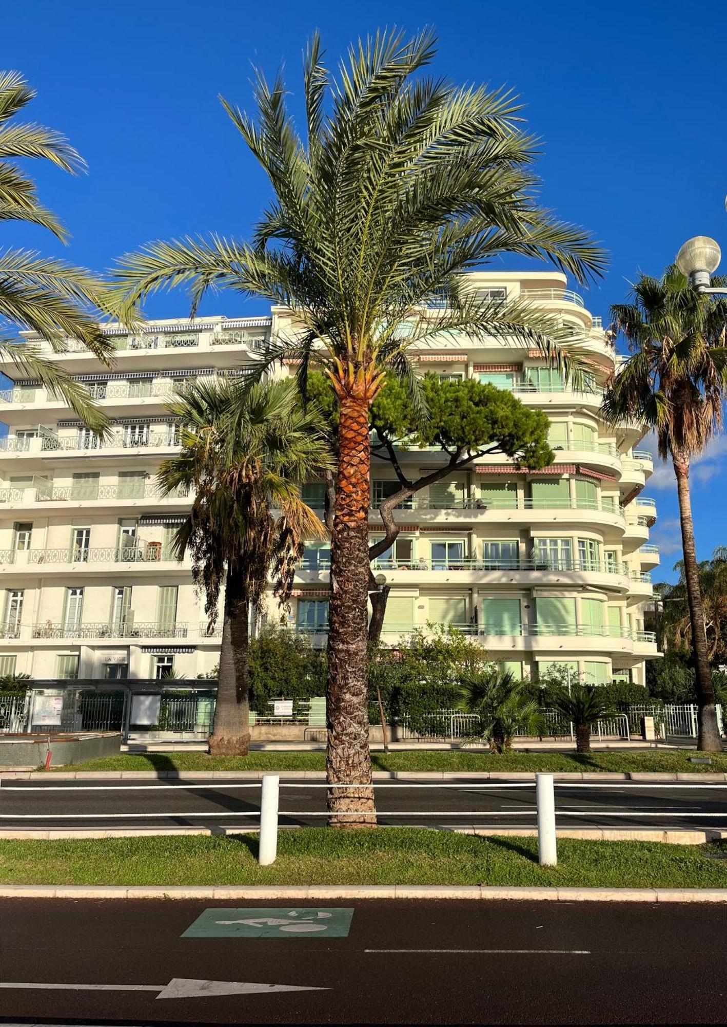 Nice 115 By The Sea エクステリア 写真